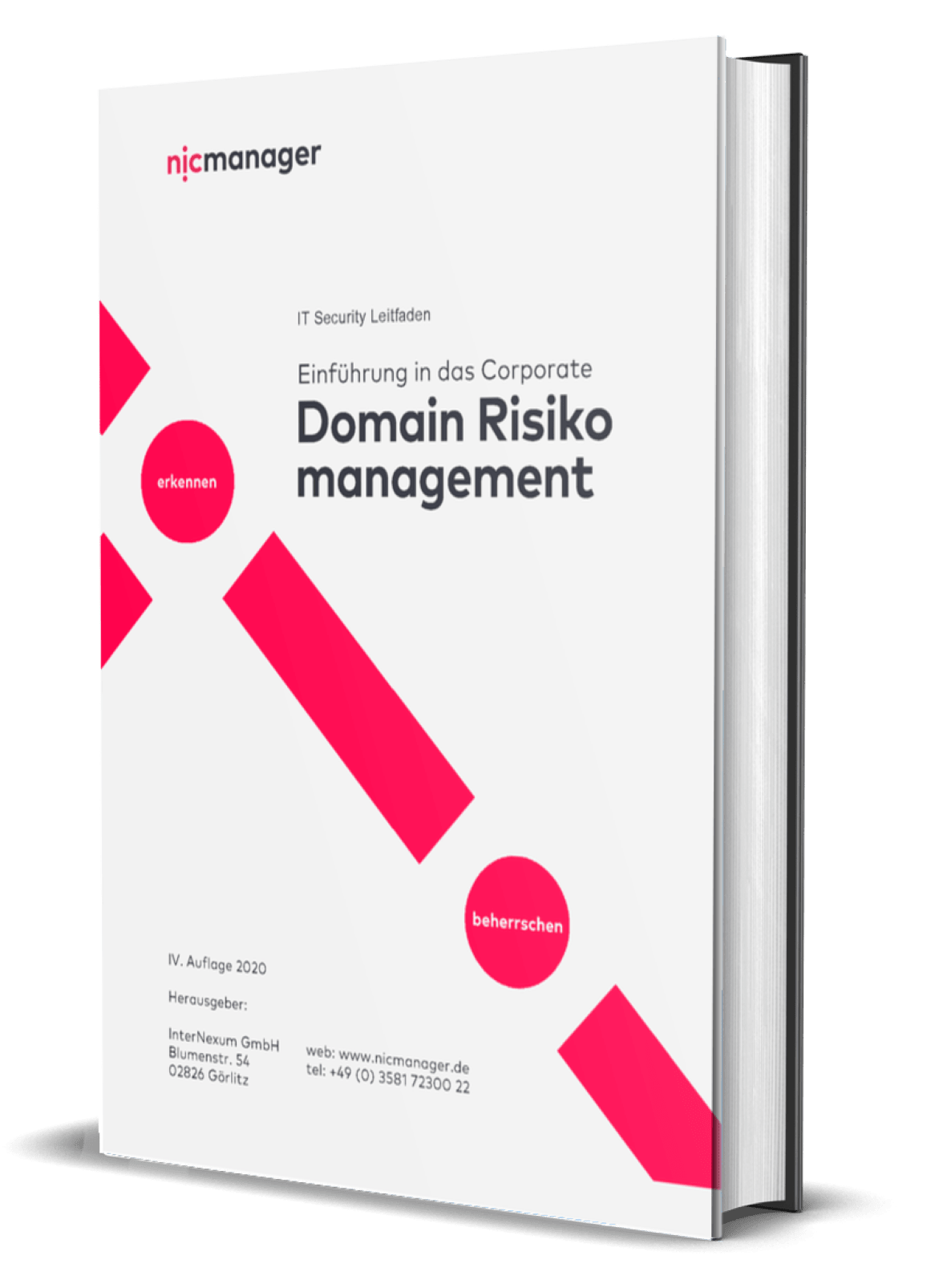 Risikomanagement Whitepaper Vorschau